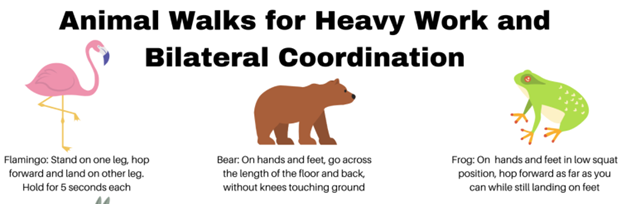 Animal Walks for Heavy Work and Bilateral Coordination