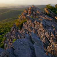 The Role of Telehealth in Virginia’s Rural Health Plan